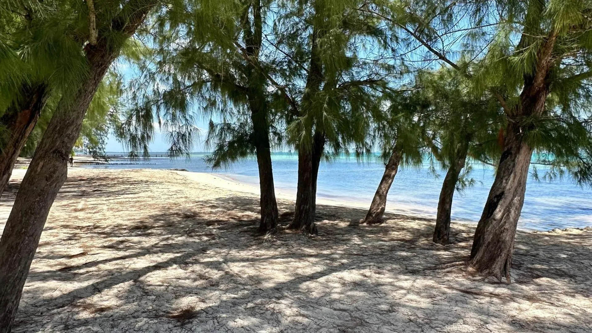 Dom wakacyjny Island House #16 At Rum Point Driftwood Village